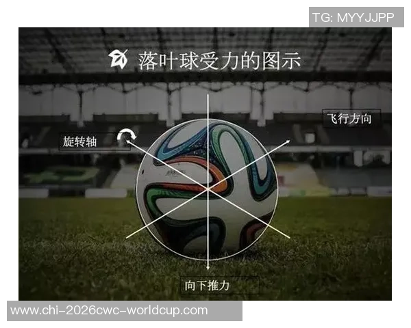 美国足球文化的缺失与其他运动的崛起分析